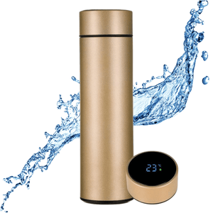 Smart LED Temperature Water Bottle – 500ml